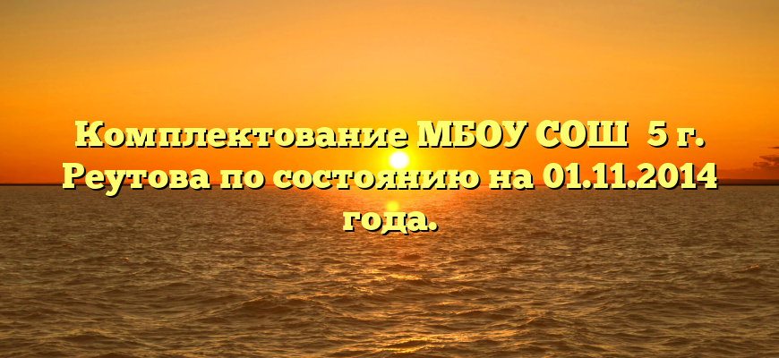 Комплектование МБОУ СОШ №5 г. Реутова по состоянию на 01.11.2014 года.