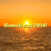 Новый год 2016!